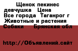 Щенок пекинес девчушка › Цена ­ 2 500 - Все города, Таганрог г. Животные и растения » Собаки   . Брянская обл.